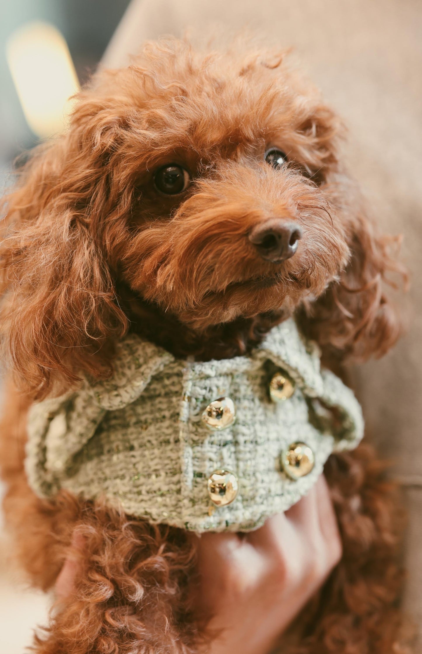 Matcha Trench Coat