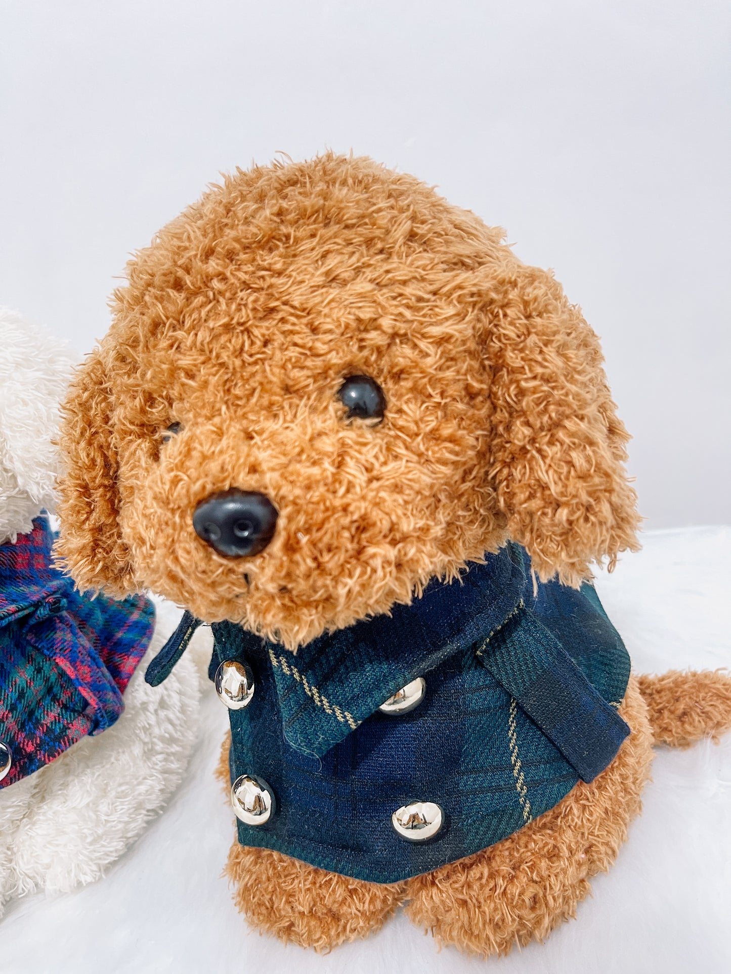Paddington Trench Coat