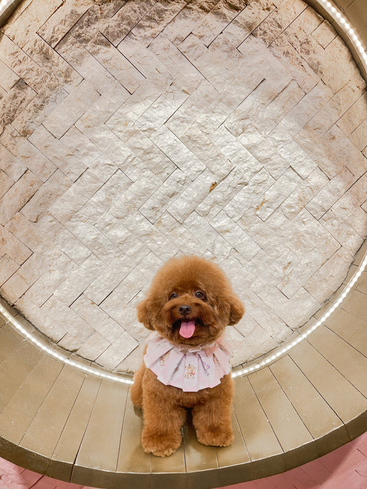 Andreana Pleated Cape