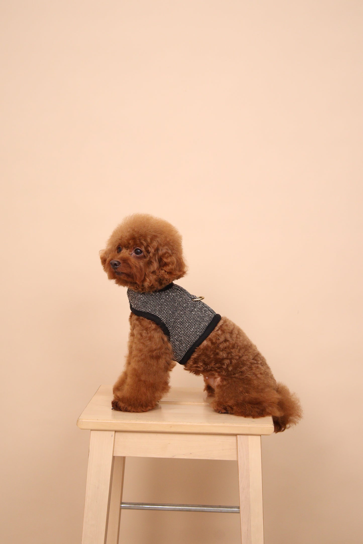 Noir Classic Harness