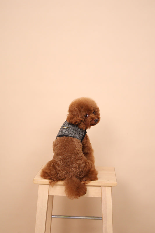 Noir Classic Harness