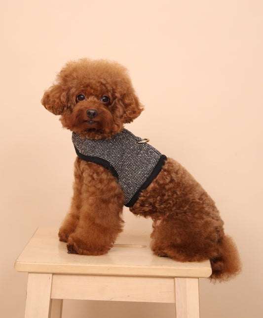 Noir Classic Harness