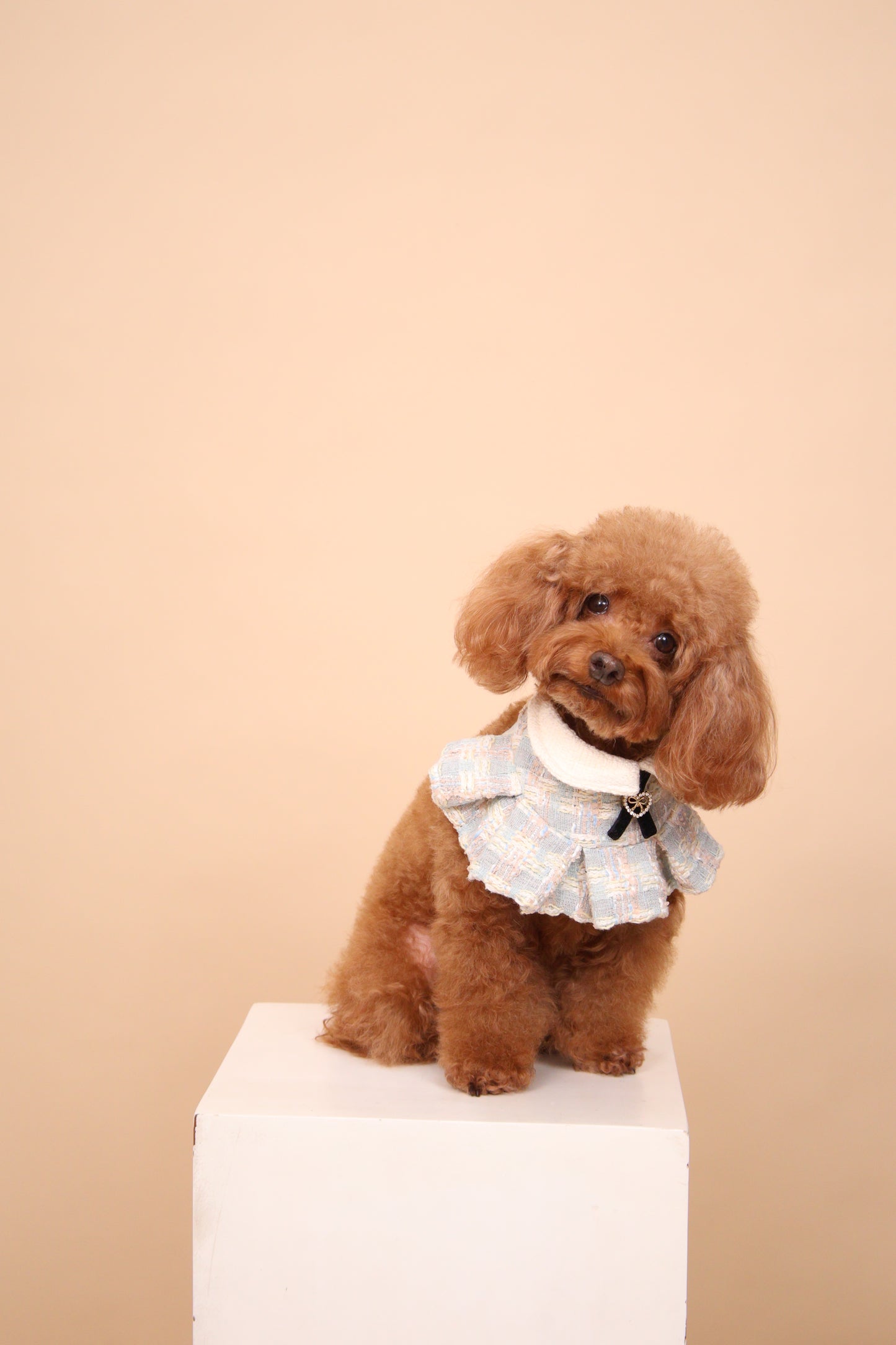 Ciel Ruffled Cape
