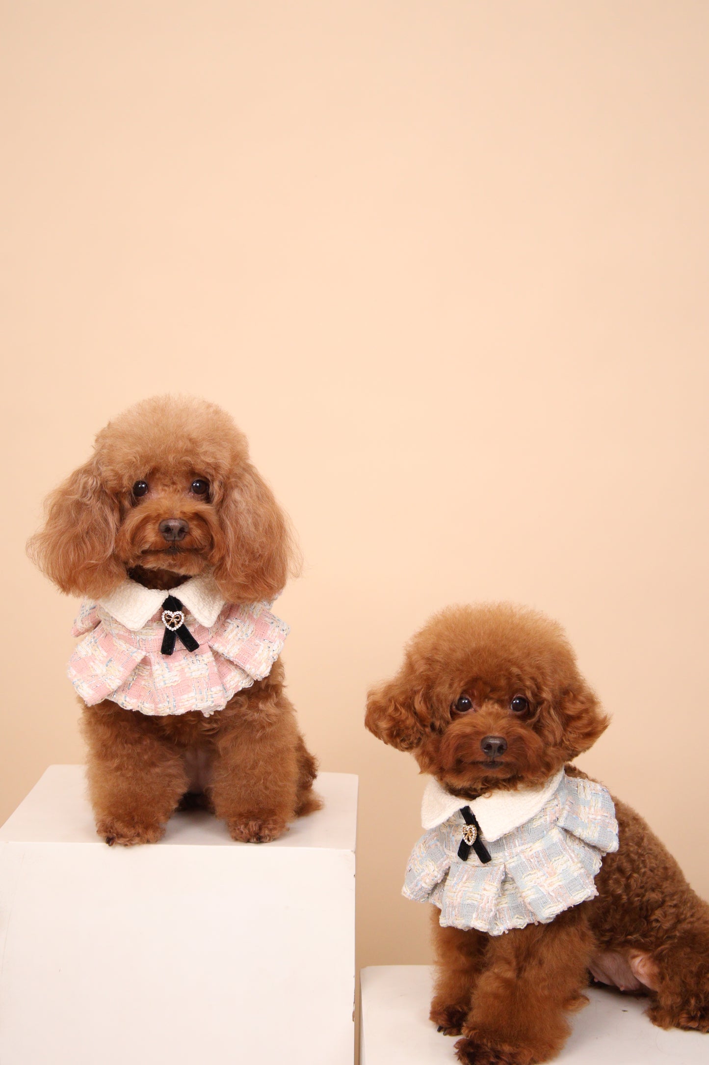 Ciel Ruffled Cape