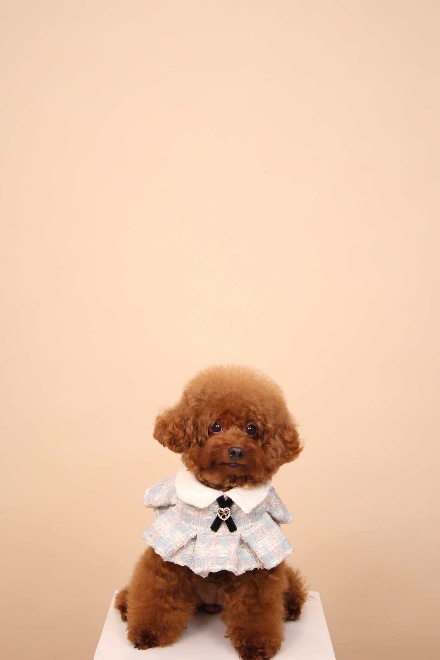 Ciel Ruffled Cape