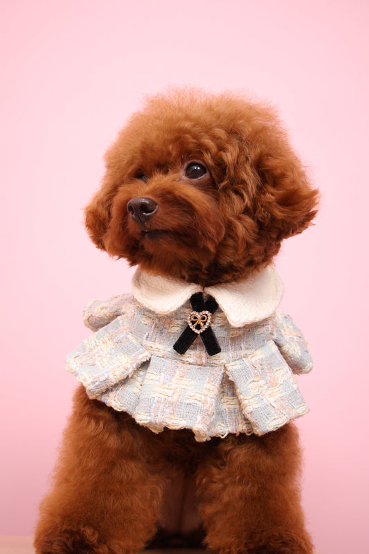Ciel Ruffled Cape
