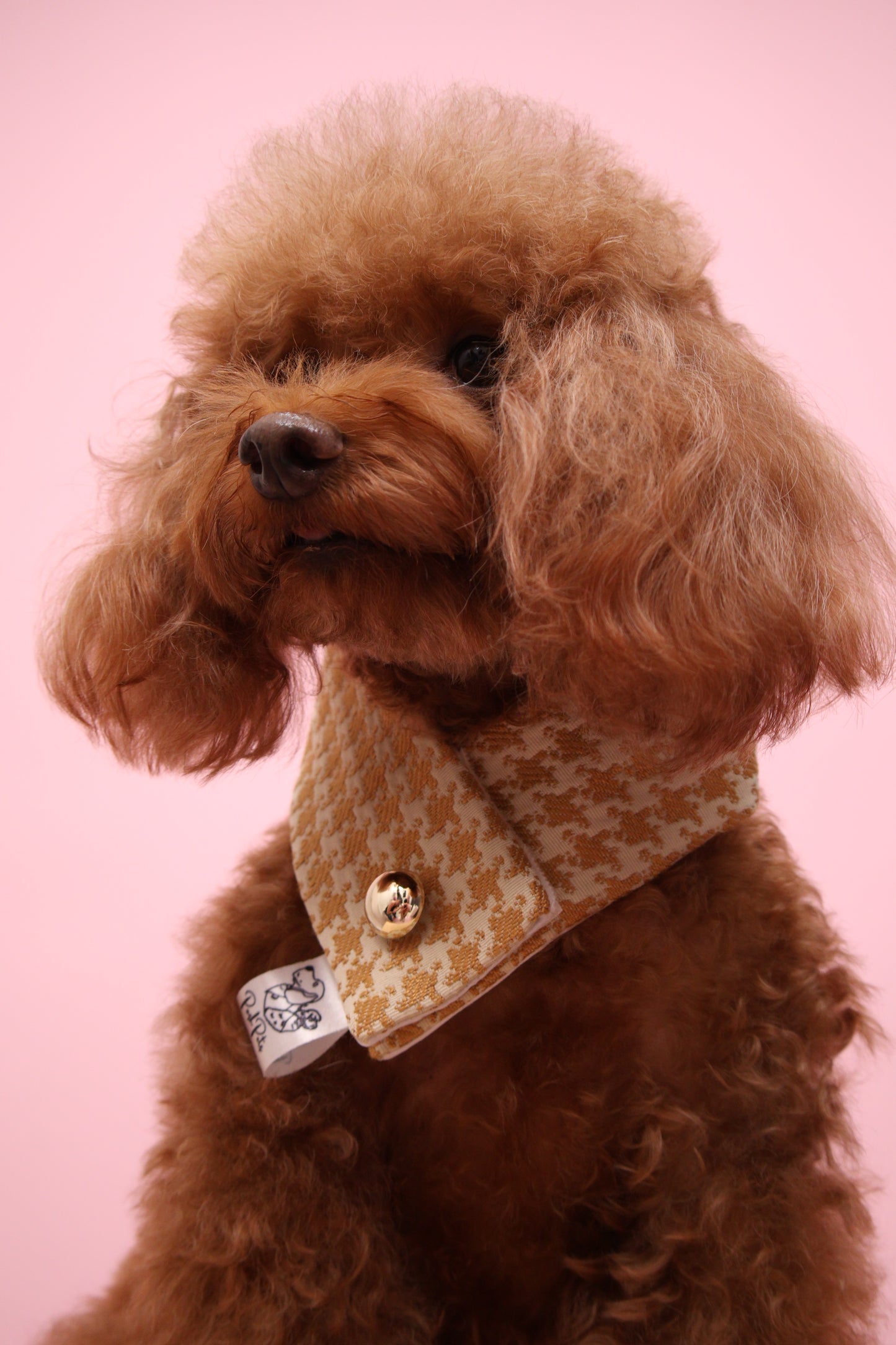 Classic Scarf