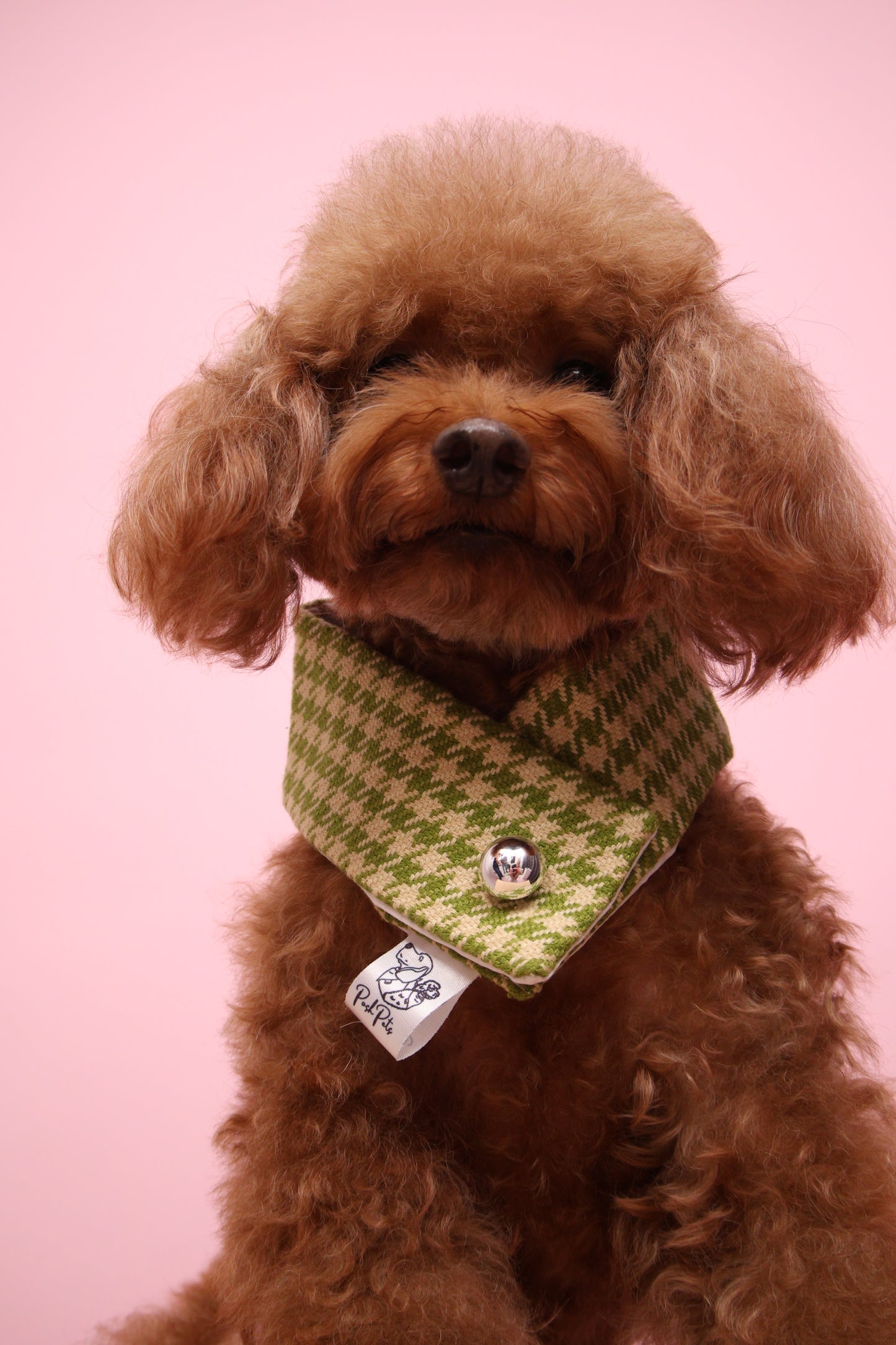 Classic Scarf