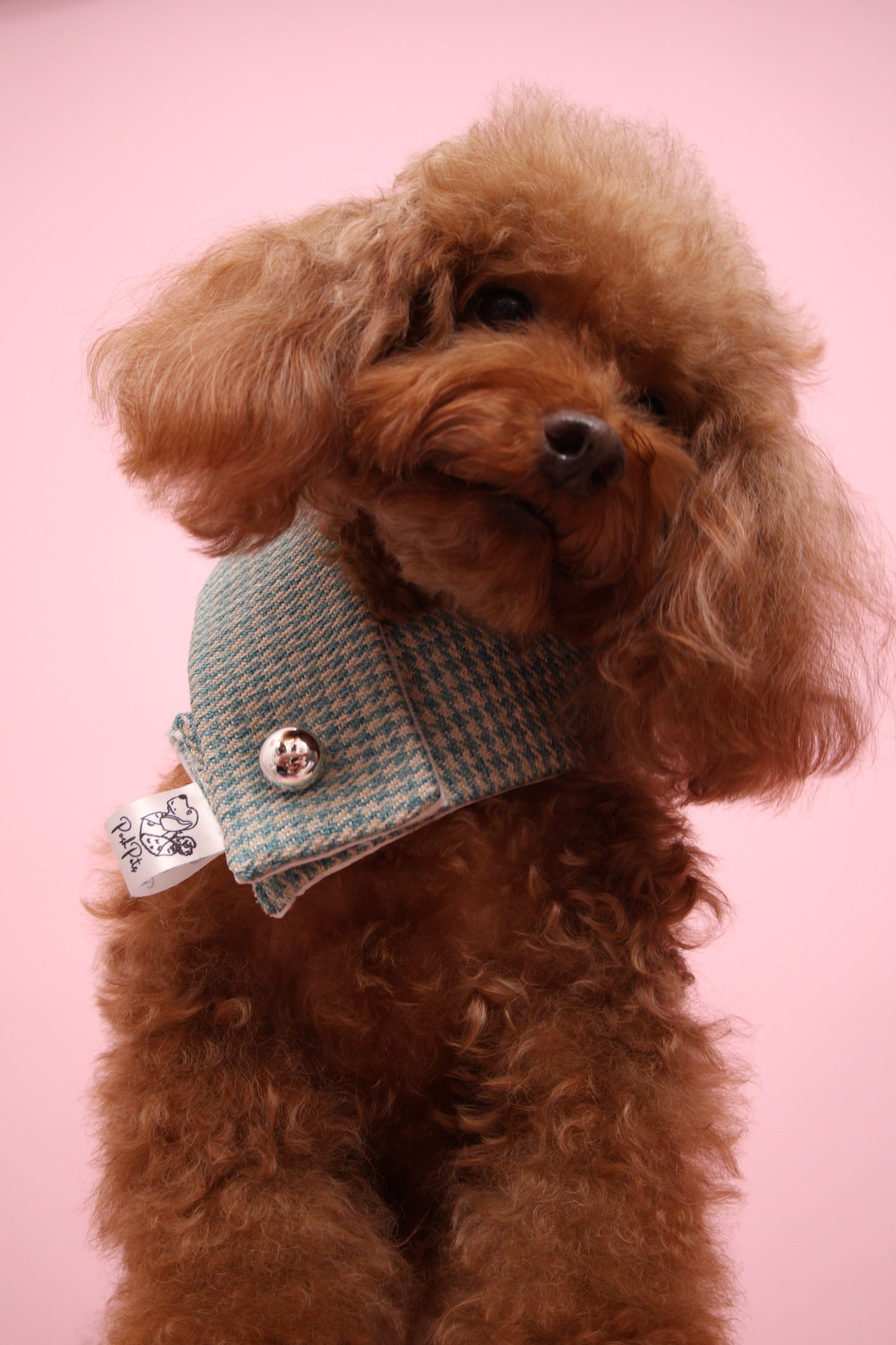 Classic Scarf