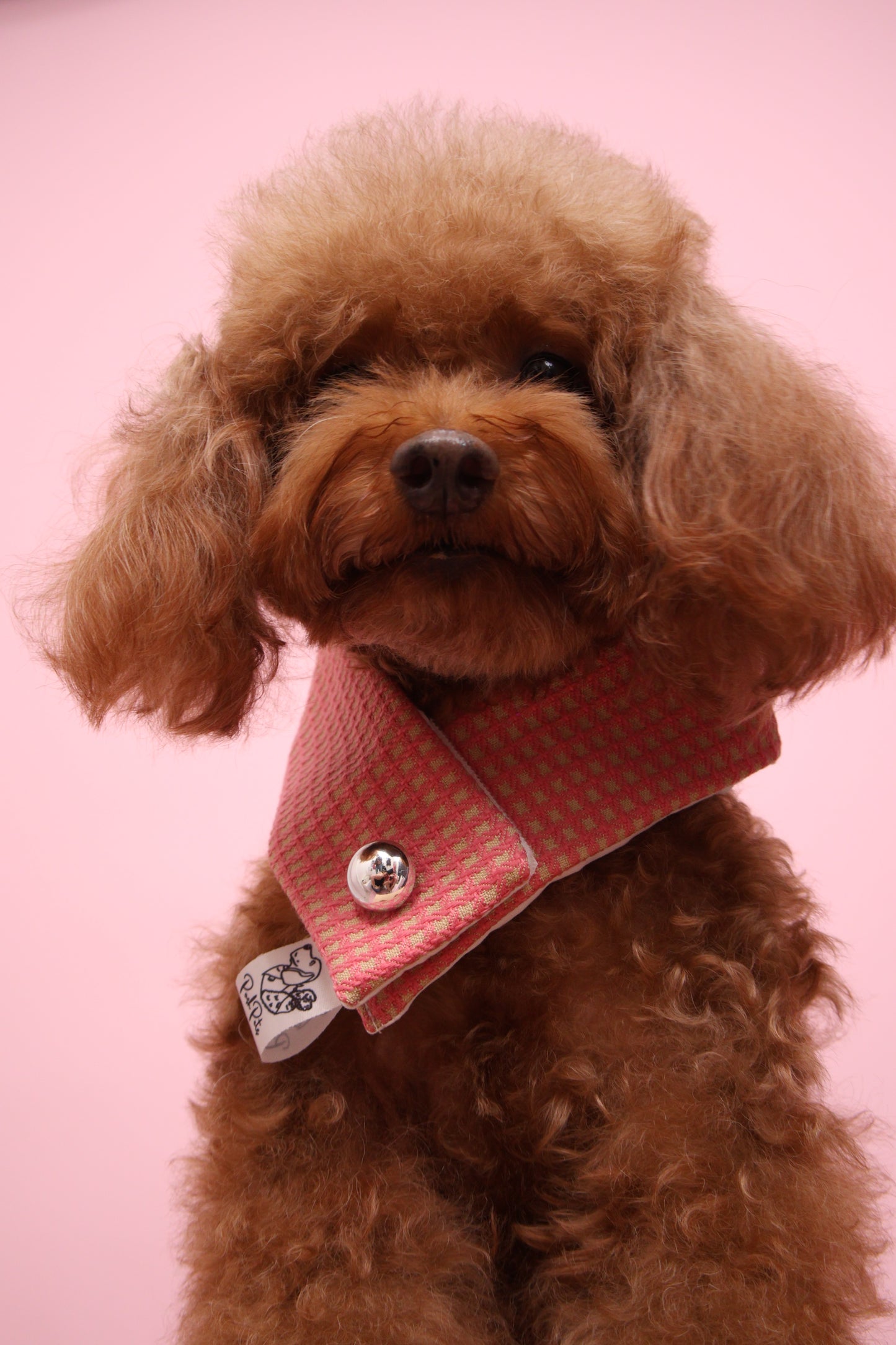 Classic Scarf