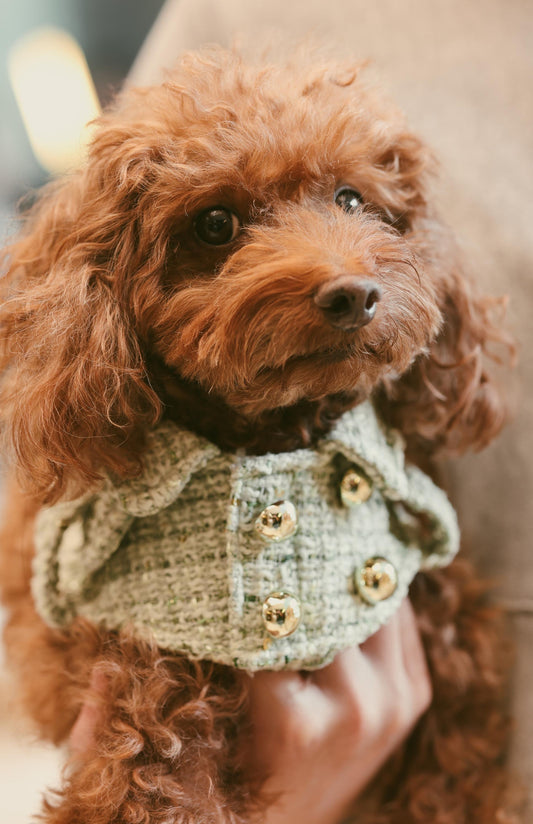 Matcha Trench Coat