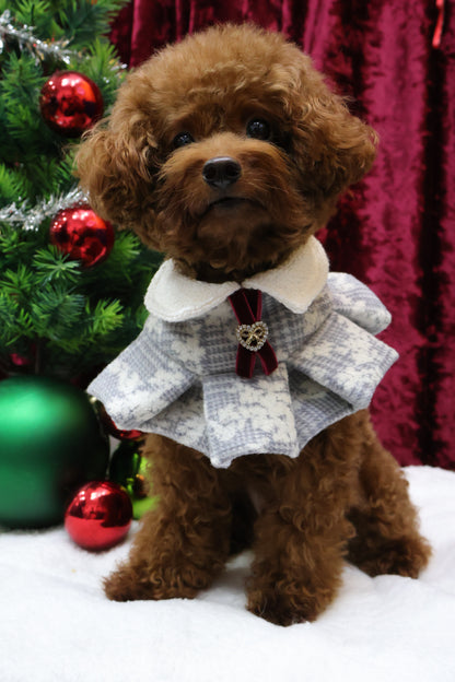 Silverdust Ruffled Cape