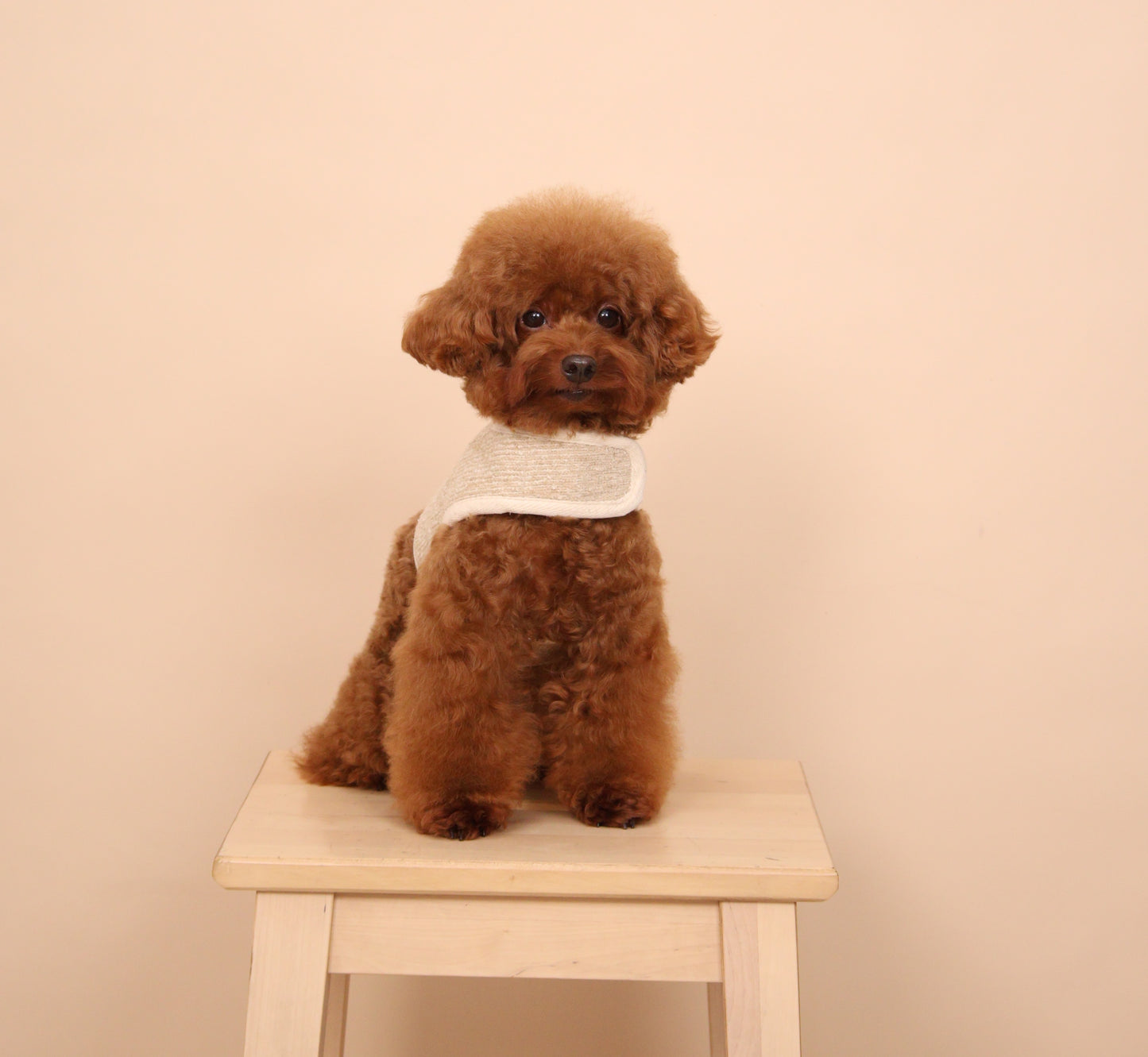 Ecru Classic Harness