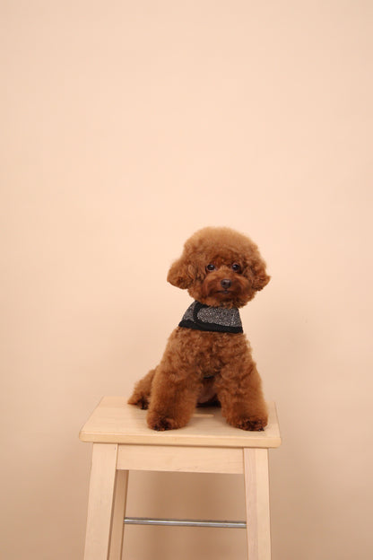 Noir Classic Harness