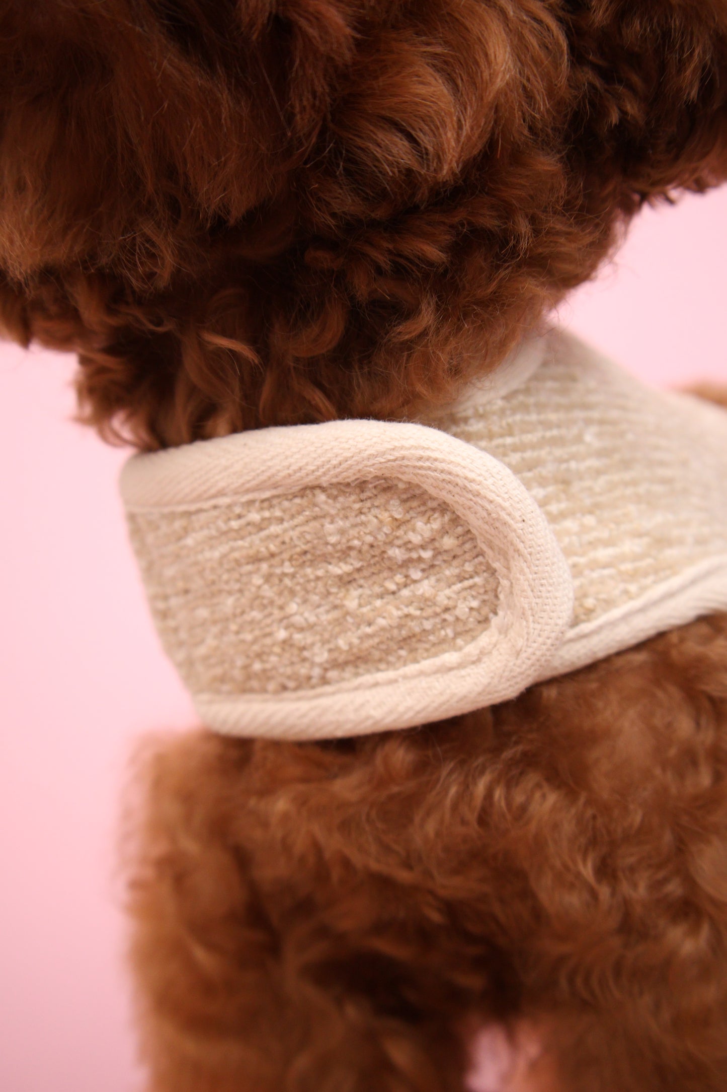 Ecru Classic Harness