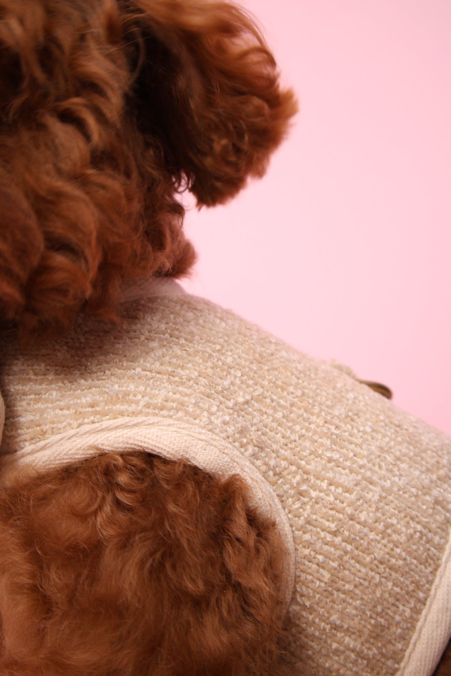 Ecru Classic Harness