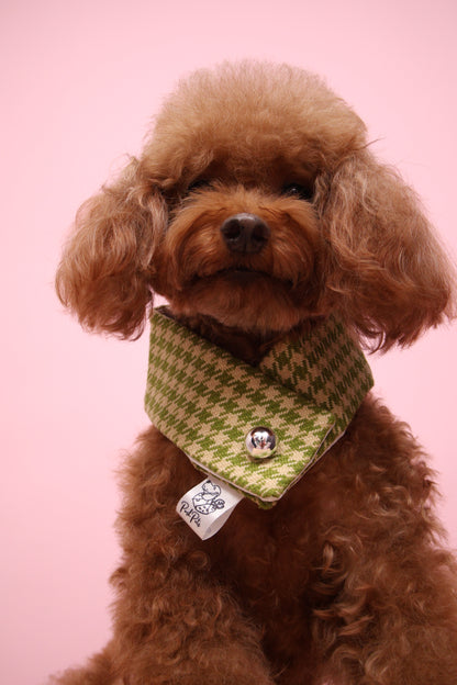 Classic Scarf