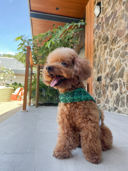 Winter Grove Harness