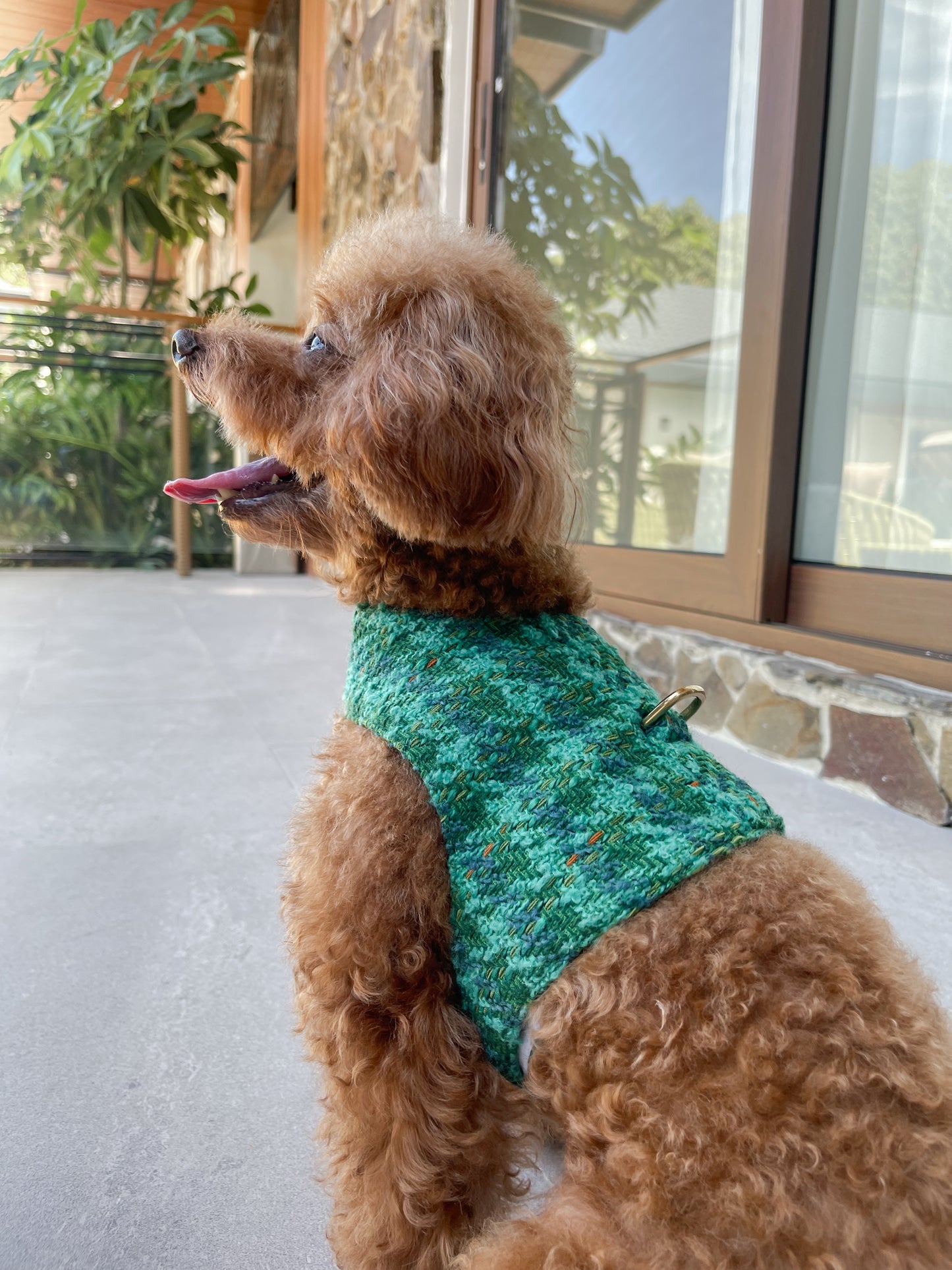 Winter Grove Harness