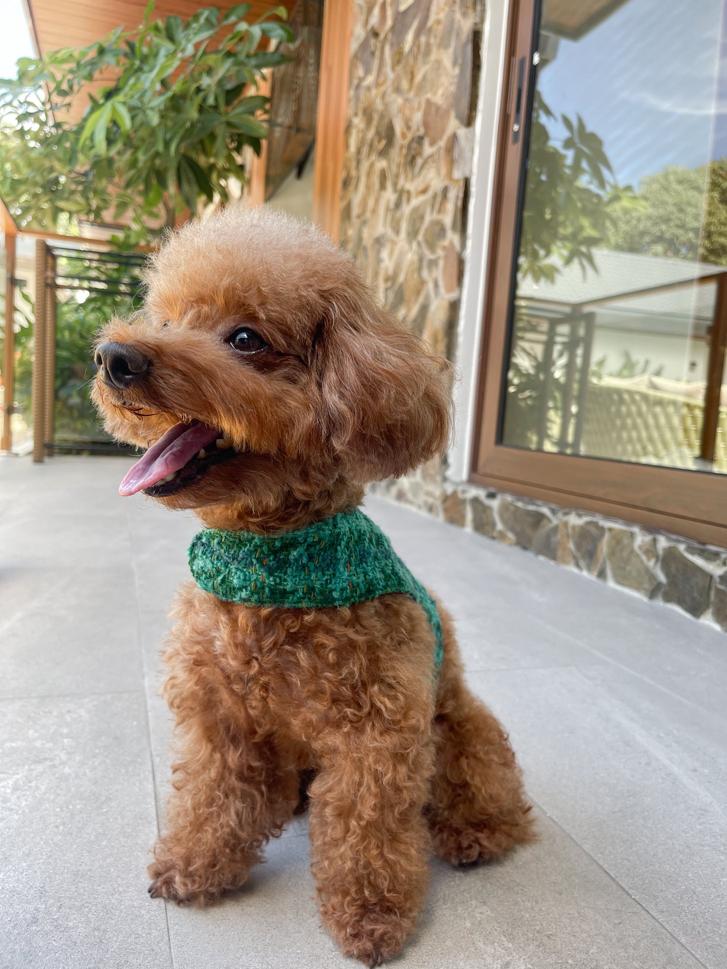 Winter Grove Harness