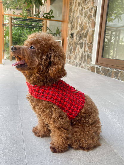 Spiced Berry Harness