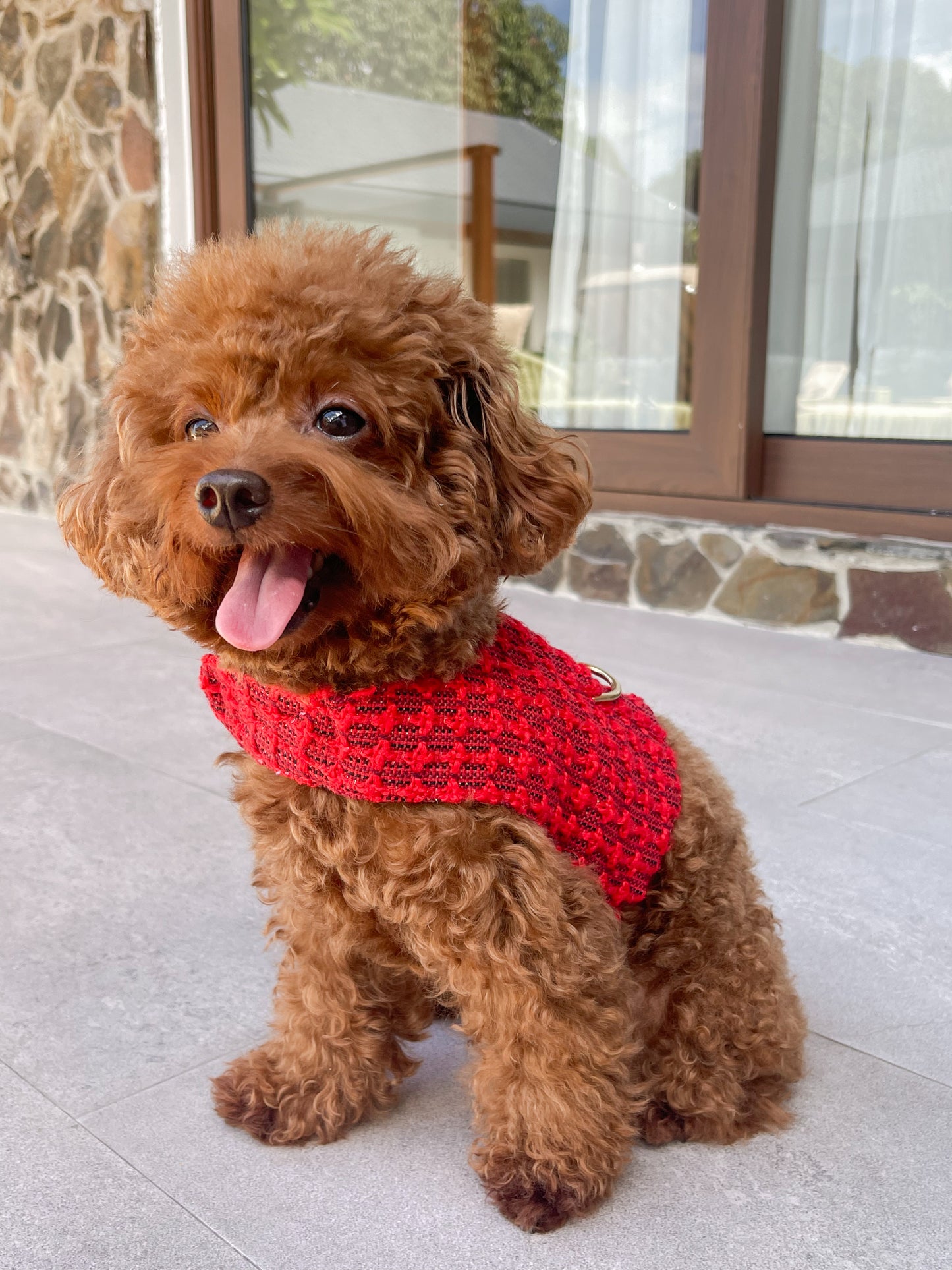 Spiced Berry Harness