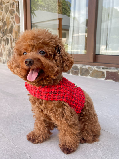Spiced Berry Harness