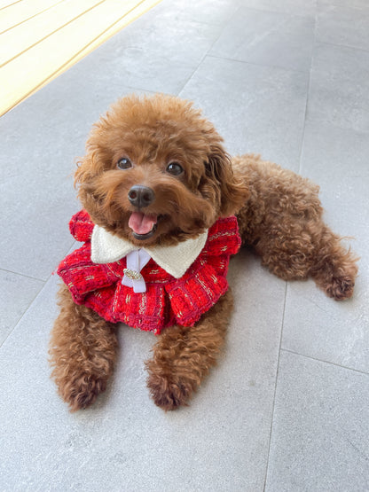 Gingerglow Ruffled Cape