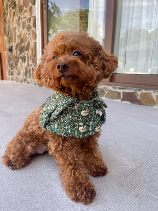 Mistle Spruce Trench Coat