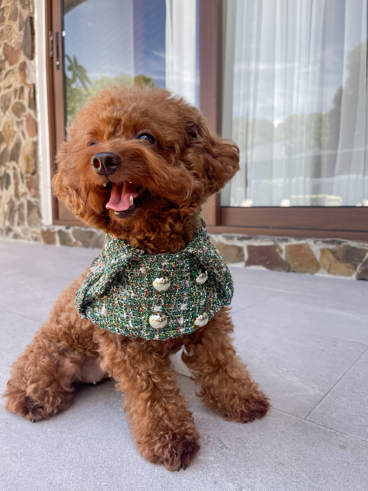 Mistle Spruce Trench Coat