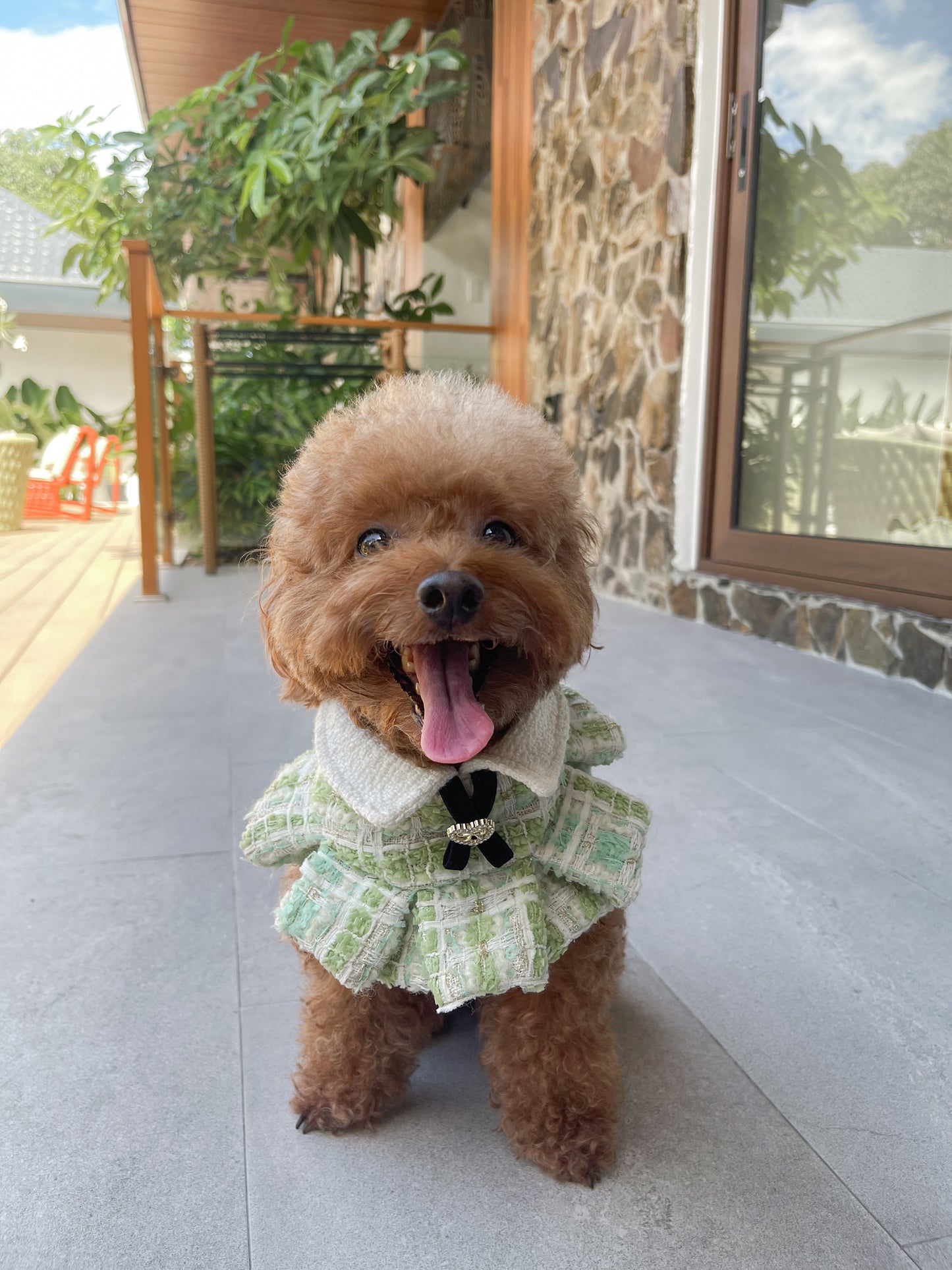 Evergreen Frost Ruffled Cape