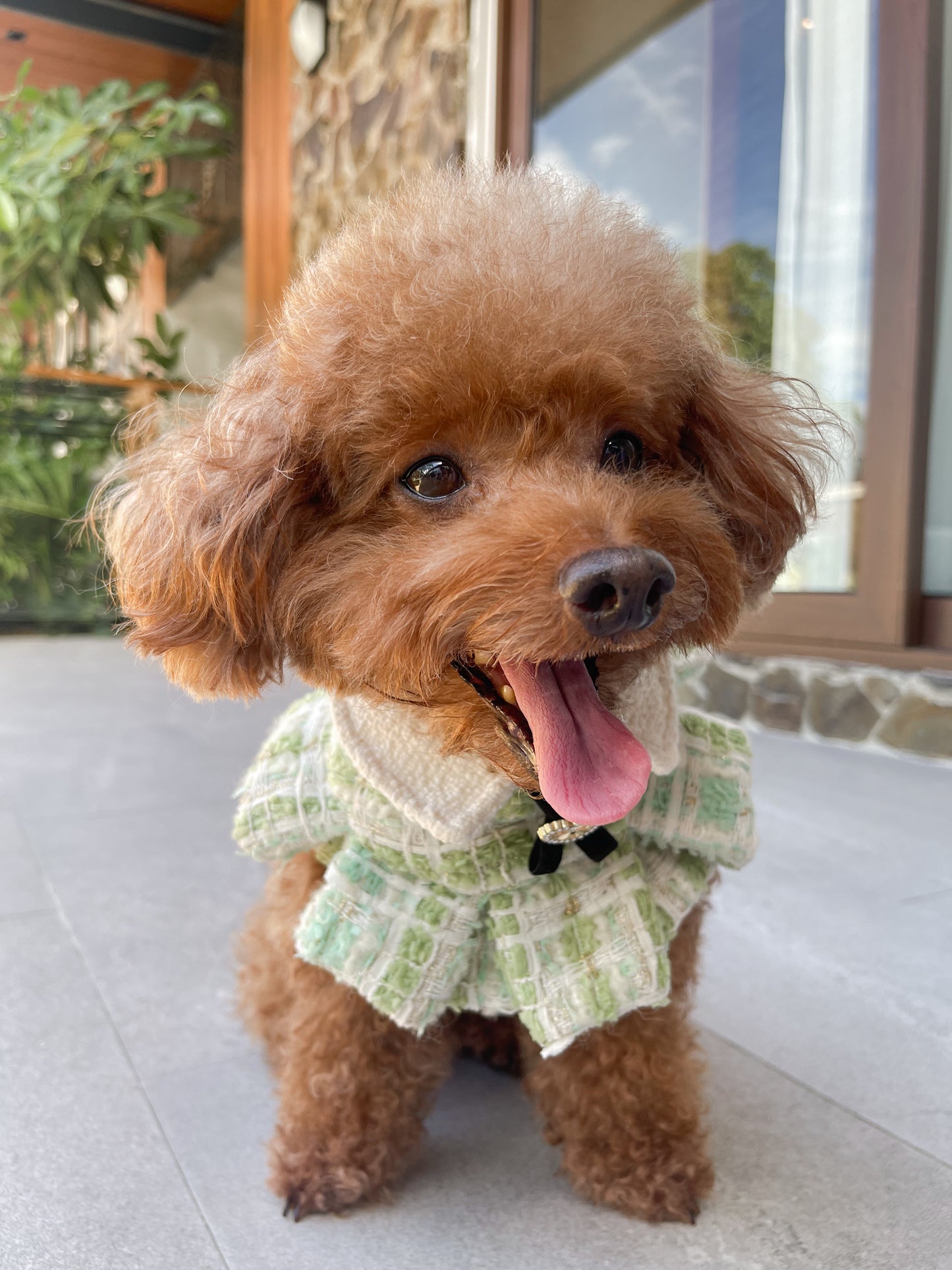 Evergreen Frost Ruffled Cape