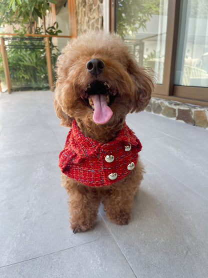 Velvet Ember Trench Coat