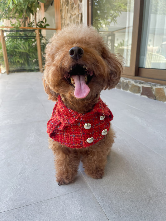 Velvet Ember Trench Coat