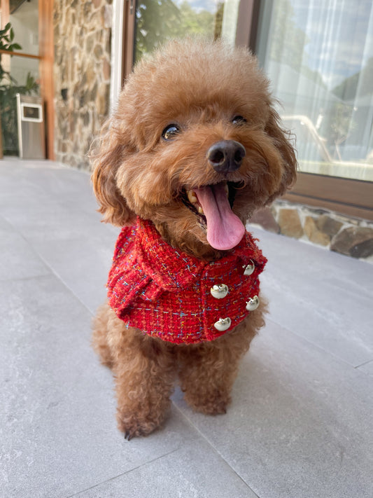 Velvet Ember Trench Coat