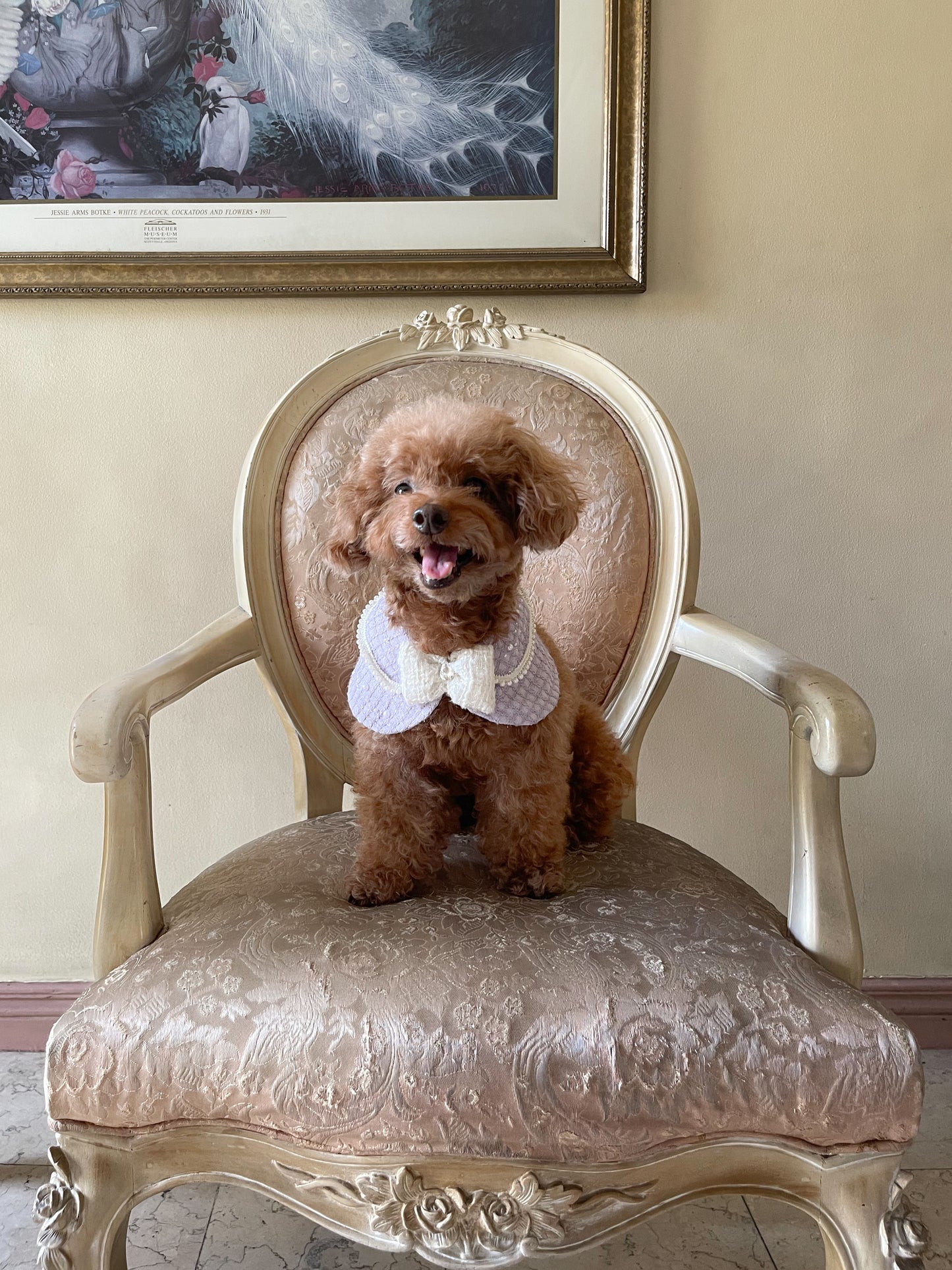 Colette Cape (PRE-ORDER)