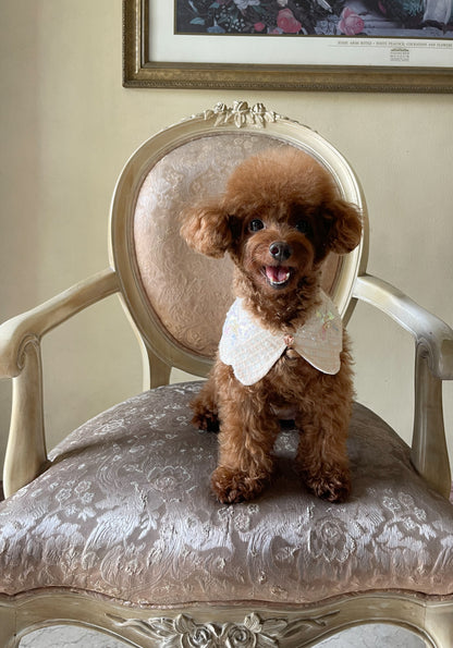 Elara Cape (PRE-ORDER)