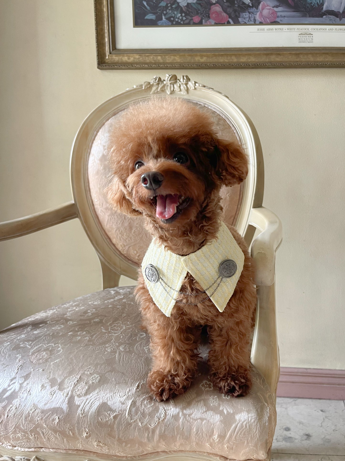 Alistair Cape (PRE-ORDER)