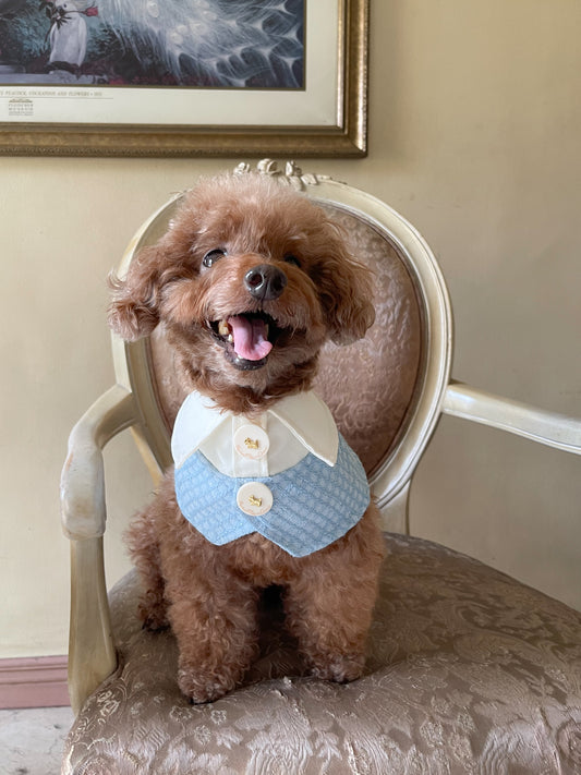 Hugo Cape (PRE-ORDER)