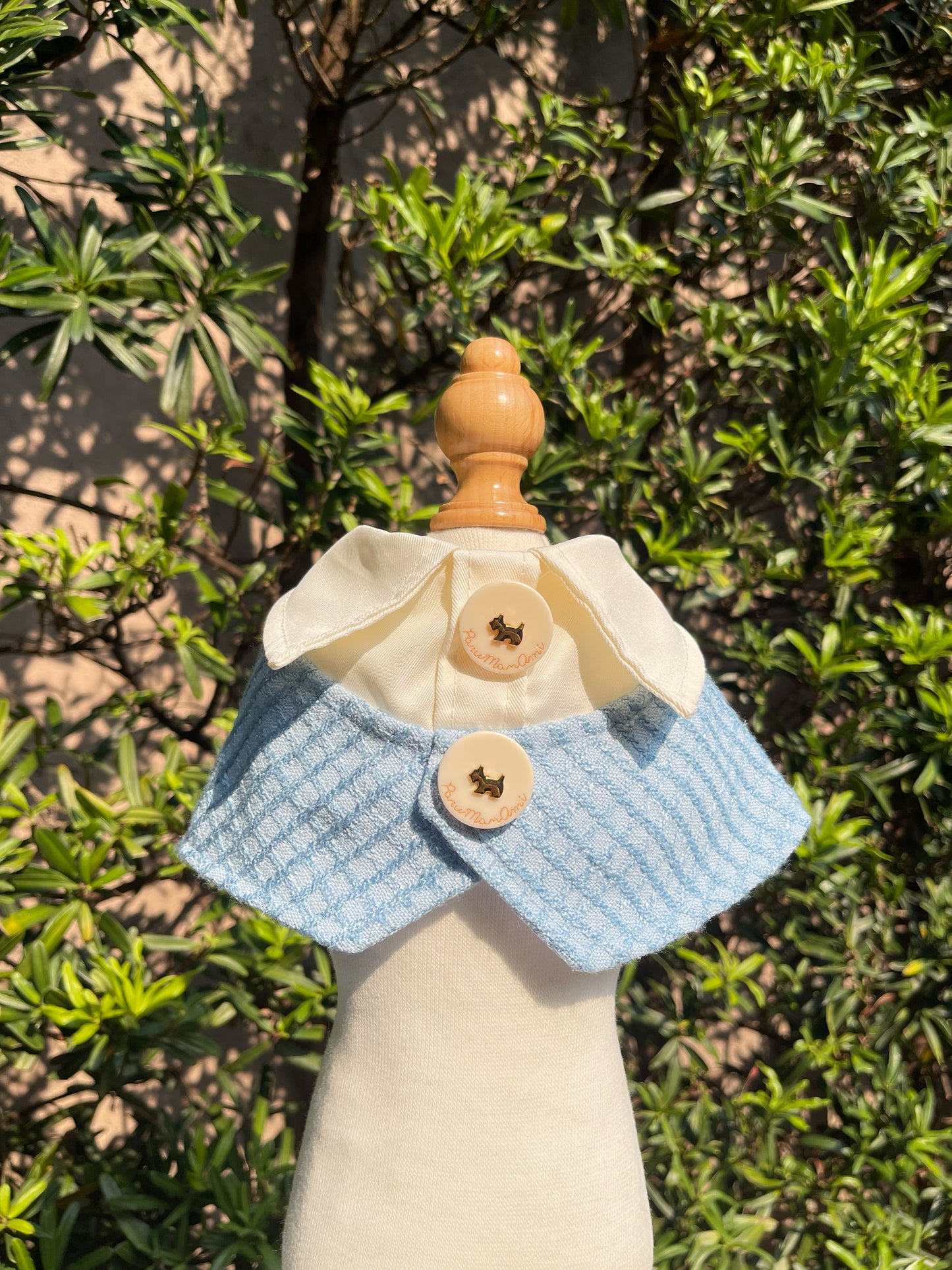 Hugo Cape (PRE-ORDER)