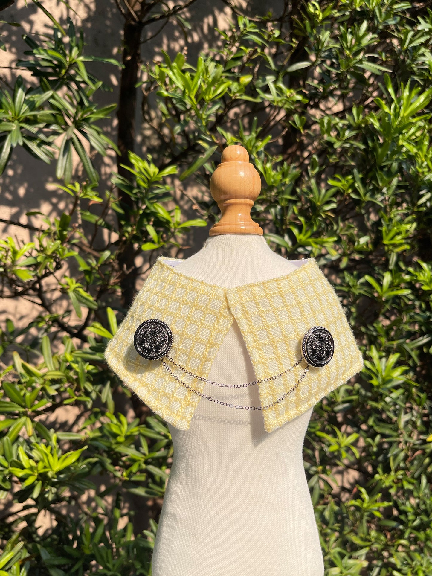 Alistair Cape (PRE-ORDER)