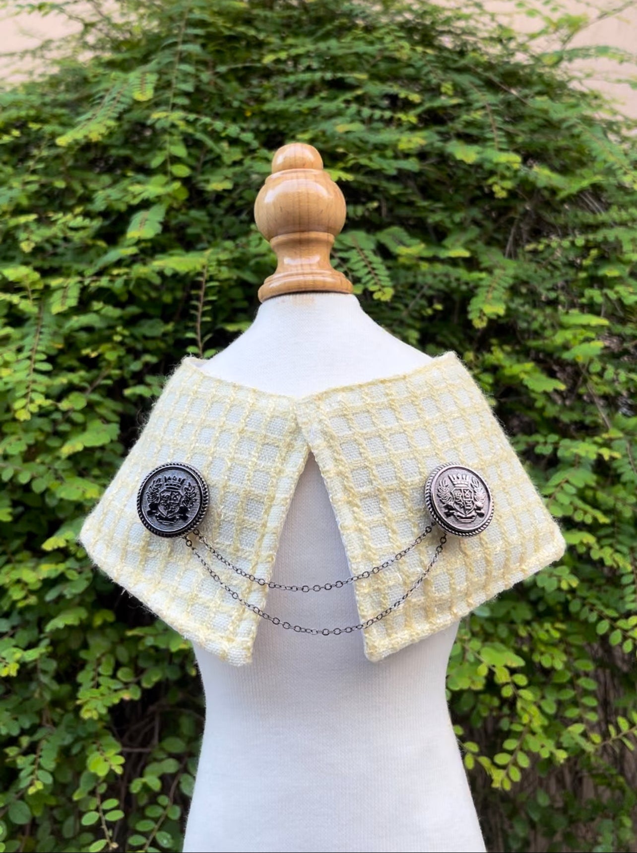 Alistair Cape (PRE-ORDER)